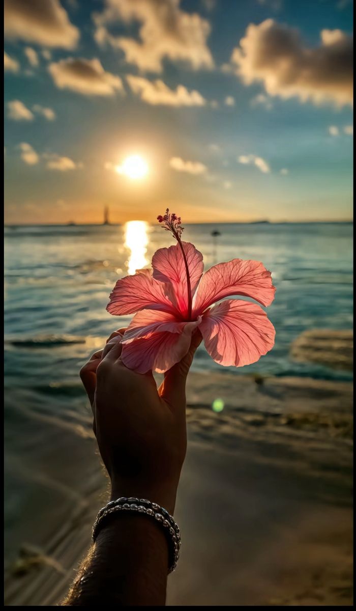 The Last Summer We Shared