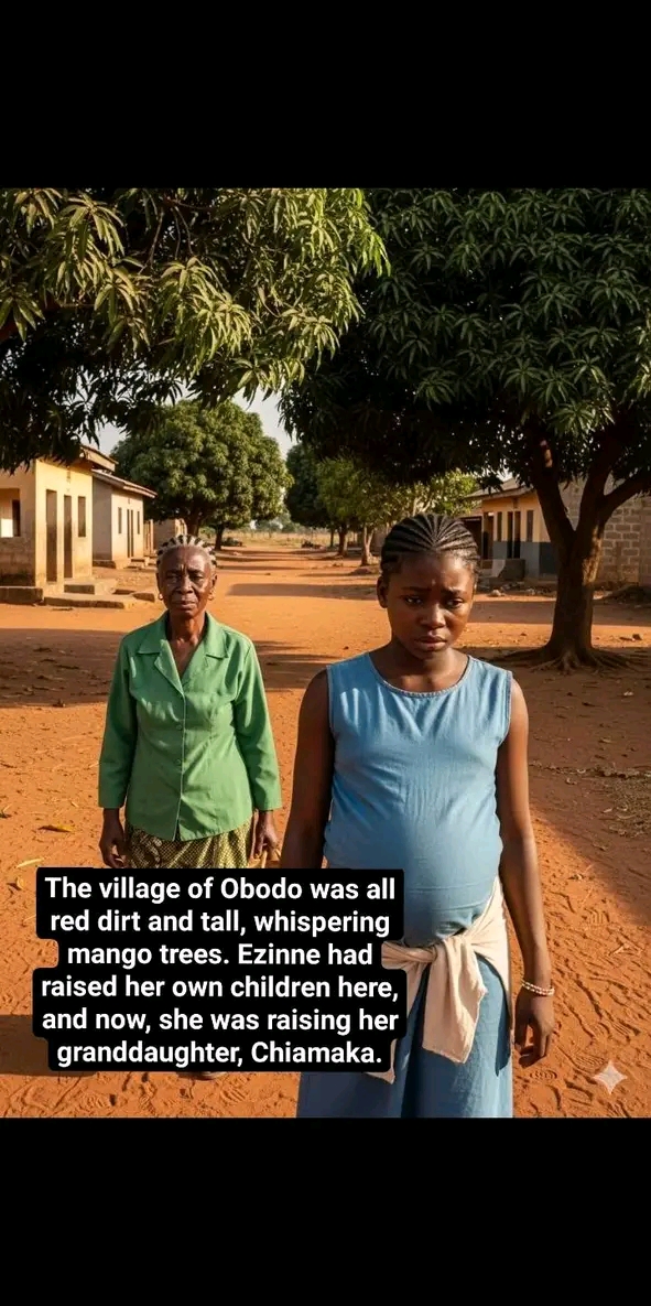 The missing granddaughter 2