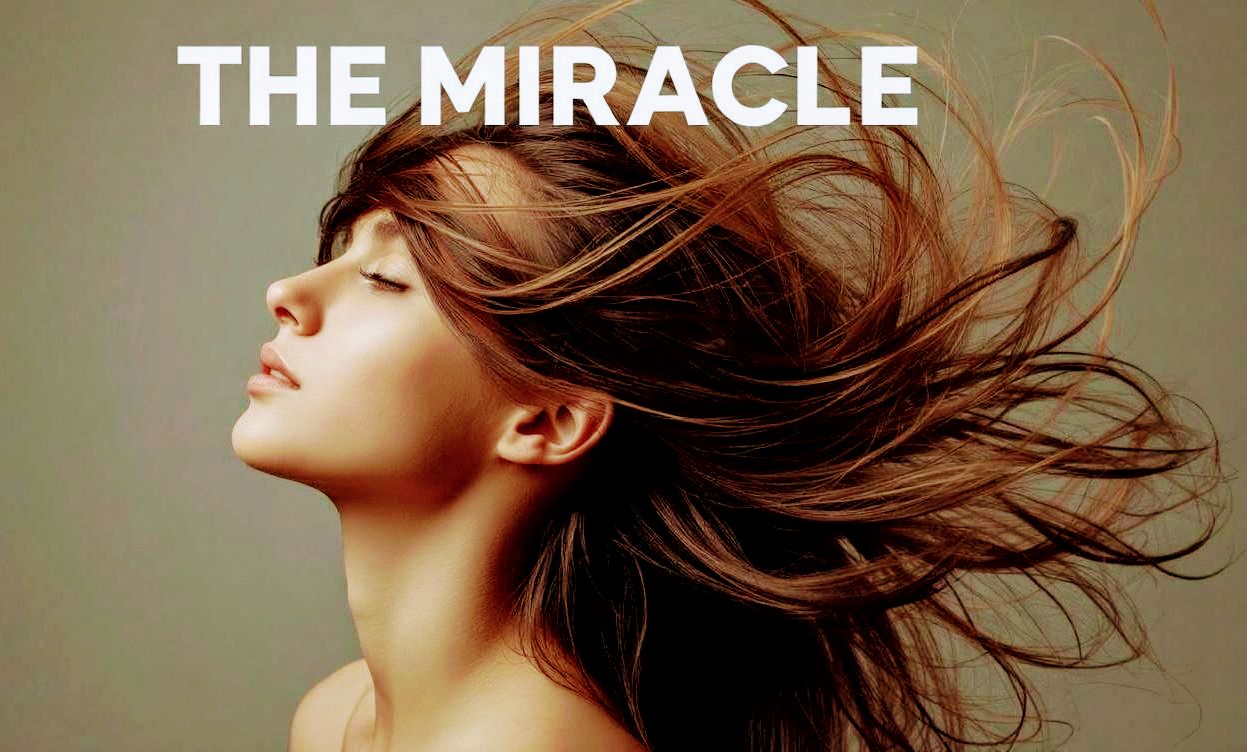 THE MIRACLE 